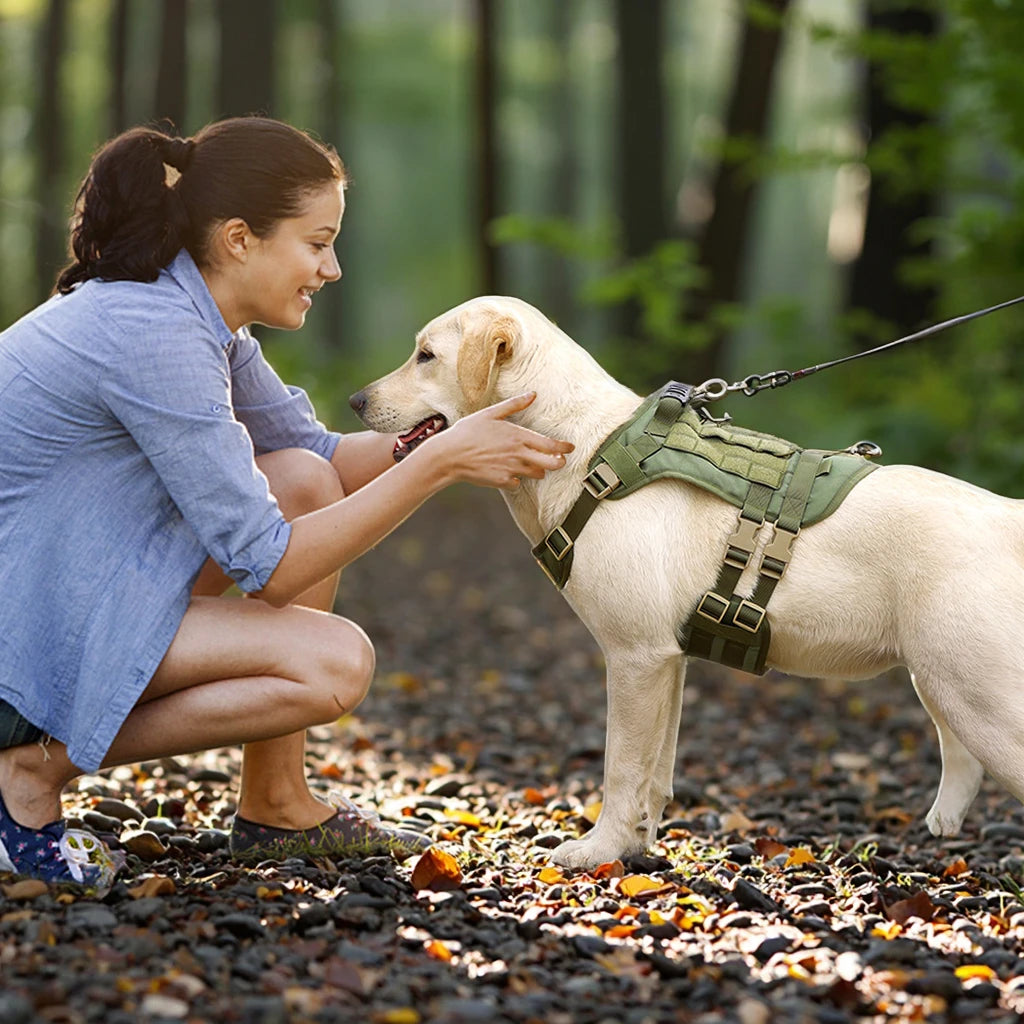 Customizable Nylon Leather Dog Vest Harness Tactical Luxury Reflective Waterproof Adjustable Multi-Functional Pet Safety Gear