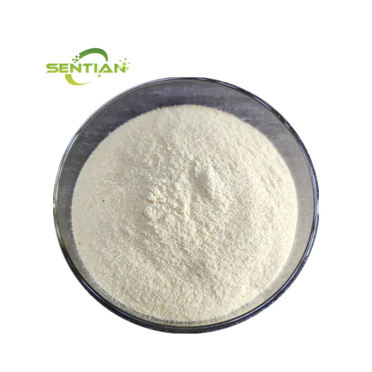 Custom Supplement Isolate Whey Protein Raw Material Whey Protein Isolate