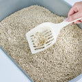 OKKPETS Hot Sale Tofu Cat Litter in Stock 5 Flavors Eco Friendly Tofu Cat Litter Wholesale Sand ECO Friendly