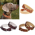 Luxury Elegant Modern Personalized Nylon Polyester Sewing Pet Dog Collar