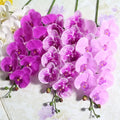 K01333 Real Touch Simulation Artificial Latex PU Phalaenopsis Orchids Flowers Decor Fakes Orchids