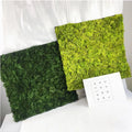 Fast Shipping Preserved Moss Plate Customized Preserved Moss Wall Decorations for Home