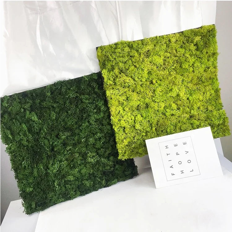 Fast Shipping Preserved Moss Plate Customized Preserved Moss Wall Decorations for Home