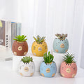 Creative Animal Flowerpot Mini Thumb Flowerpot Ceramic Cat Set Succulent Pot With Packaging