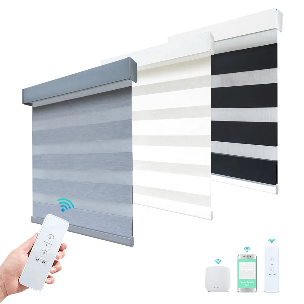 Wholesale Remote Control Smart Electric Tuya Wifi Alexa Compatible Rechargeable Battery Motorized Zebra Blinds Made in China