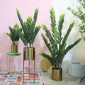 Zamioculcas Zamiifolia Green Plastic Art Decor Tree for Home Decor 50-120cm 5-8 Years Indoor Lifetime OV