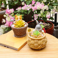 New Product Ideas Maceta Desktop Decor Bamboo Weaving Shape Home Gardening Decorative Cute Animal Mini Succulent Flower Pots