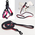 Wholesale Manufacturer Reflective Polyester Elastic Pet Dog Leash Freely Adjustable Straps Dog Harness