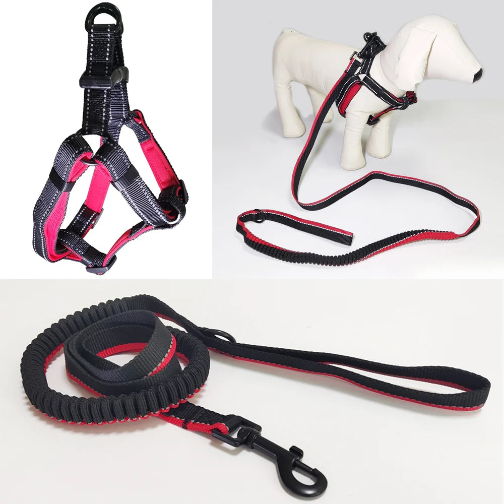 Wholesale Manufacturer Reflective Polyester Elastic Pet Dog Leash Freely Adjustable Straps Dog Harness