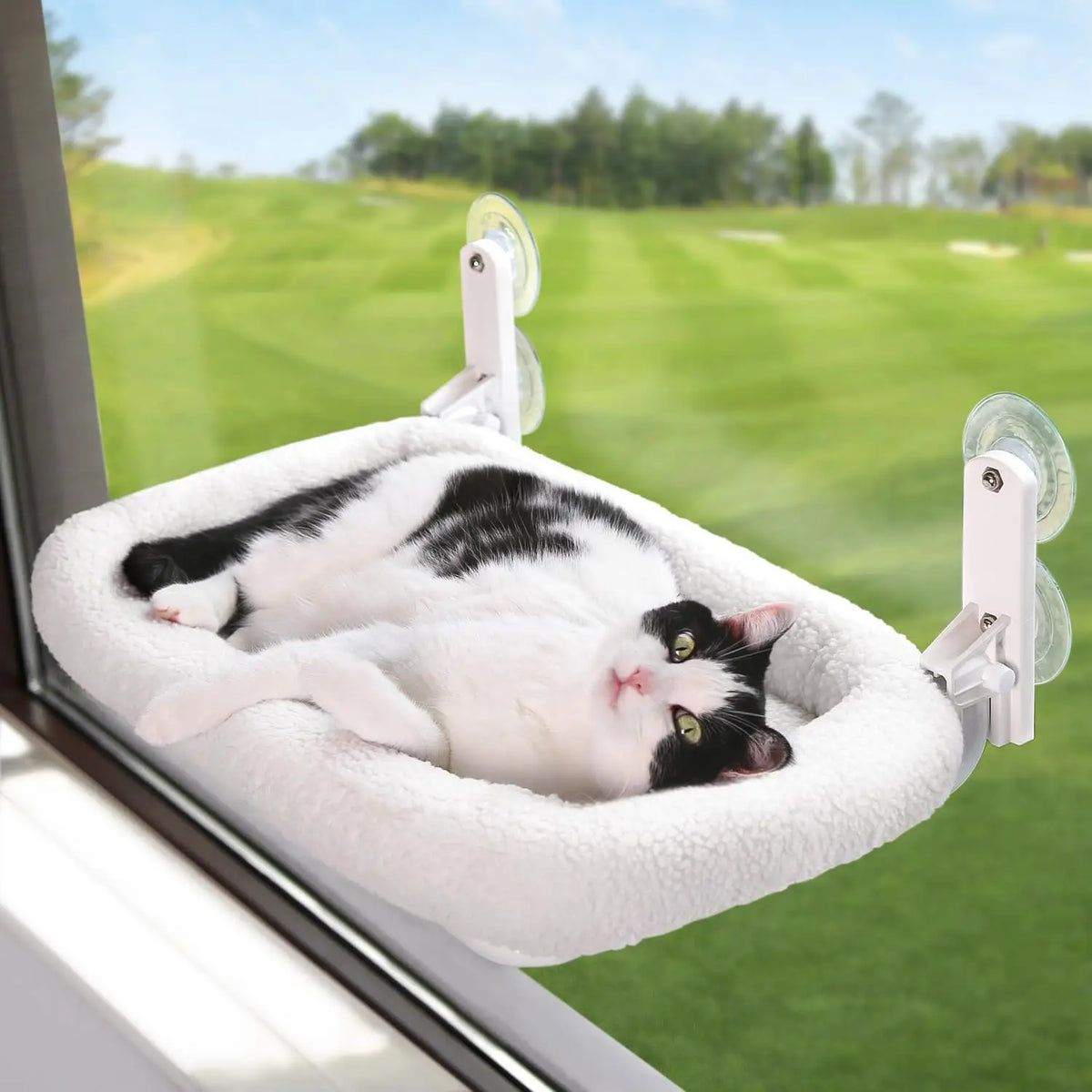 Cat Hanging Bed Comfortable Kitten Hammock Perch Bed Foldable Cat Hammock for Window Perch