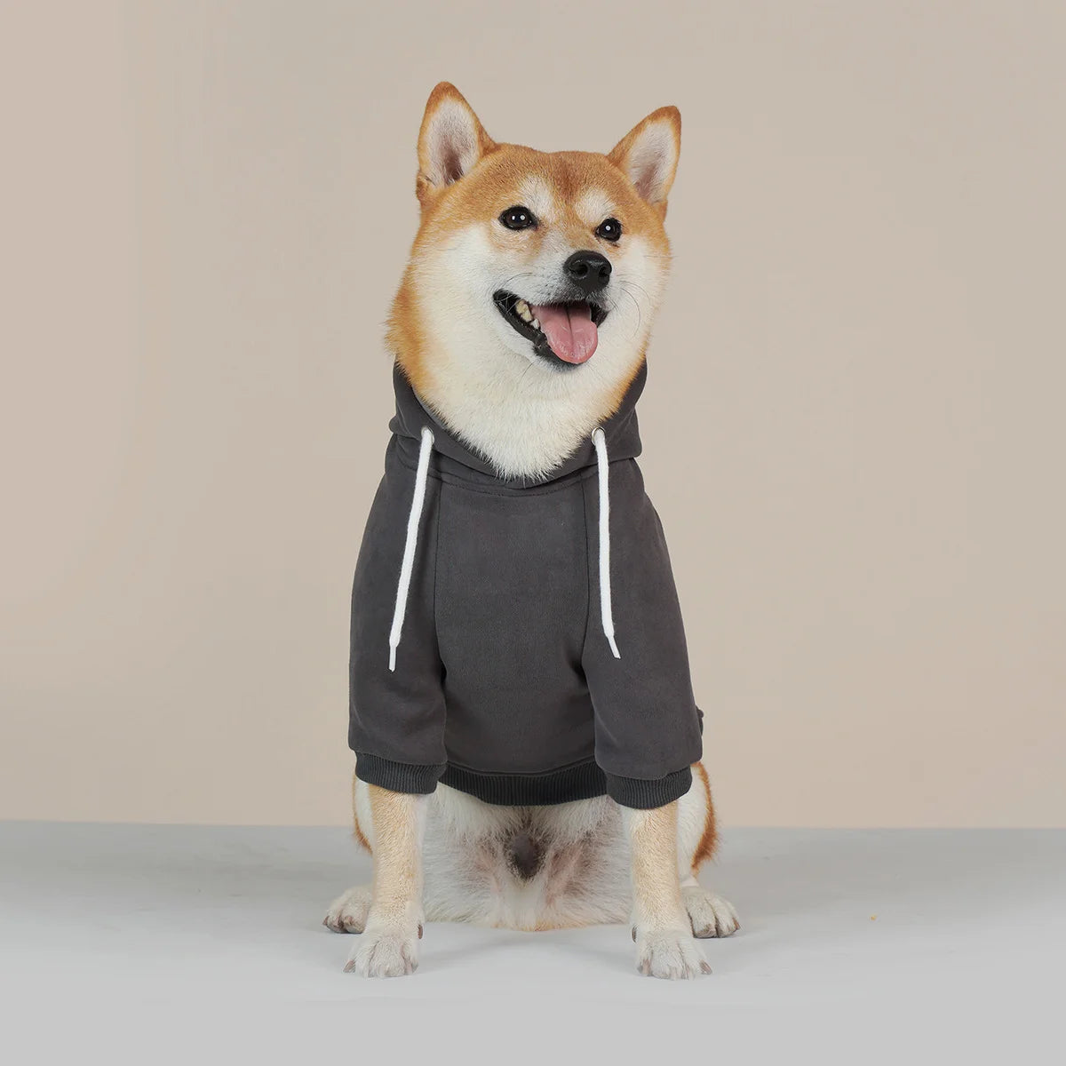 Factory High Quality Wholesale Custom Pet Hoodie Sporty Style Dogs Cats Apparel All-season 140g Fabric Custom Logo
