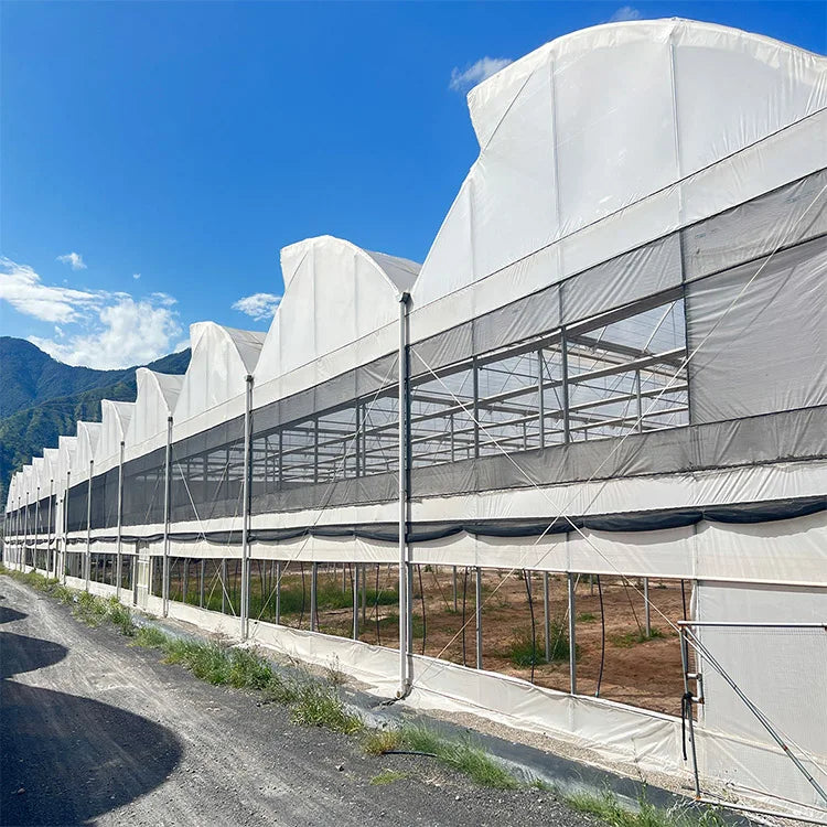Skyplant 10 Years Lifespan Multi-span Agricultural Used Greenhouse Aluminum Base 200 Micron Plastic Film Model S-P-C-8 Jiangsu