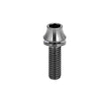 NH Durable Titanium Water Bottle Cage Screw Bolt Hex Socket Screws M5x12/16mm Class 10.9 & 12.9 Zinc Finish for Bicycles MegaBDM