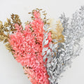 Wholesale Dried Ruscus Leaves Natural Preserved Flowers 60cm for Home Valentine's Day Christmas Graduation Easter New Year