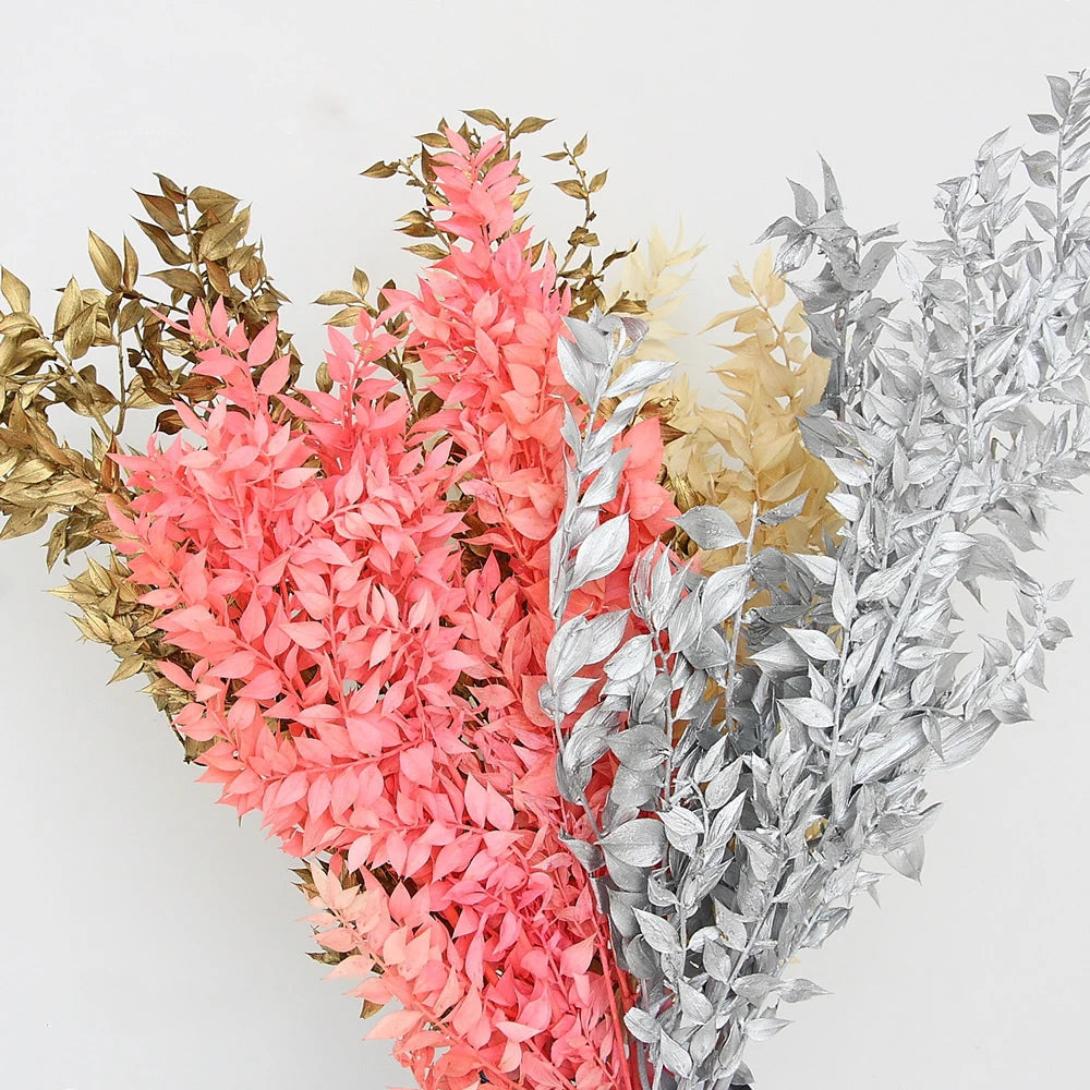 Wholesale Dried Ruscus Leaves Natural Preserved Flowers 60cm for Home Valentine's Day Christmas Graduation Easter New Year