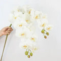 Artificial Phalaenopsis Orchid & butterfly Orchids 9 Heads for Home Decor