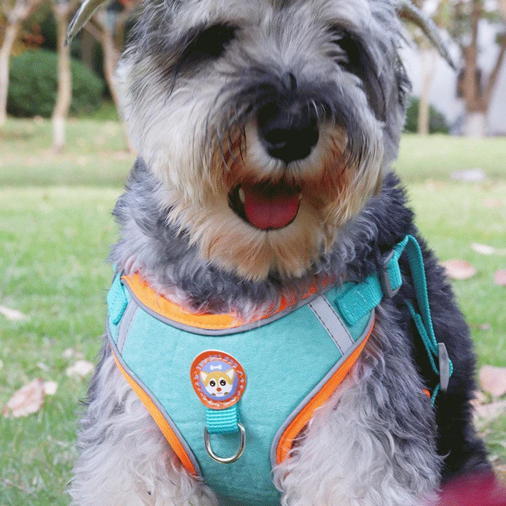 Best-Selling Pet Leash with Reflective Suede Dog Vest Harness Breathable and Color-Contrasted Factory Direct Supply