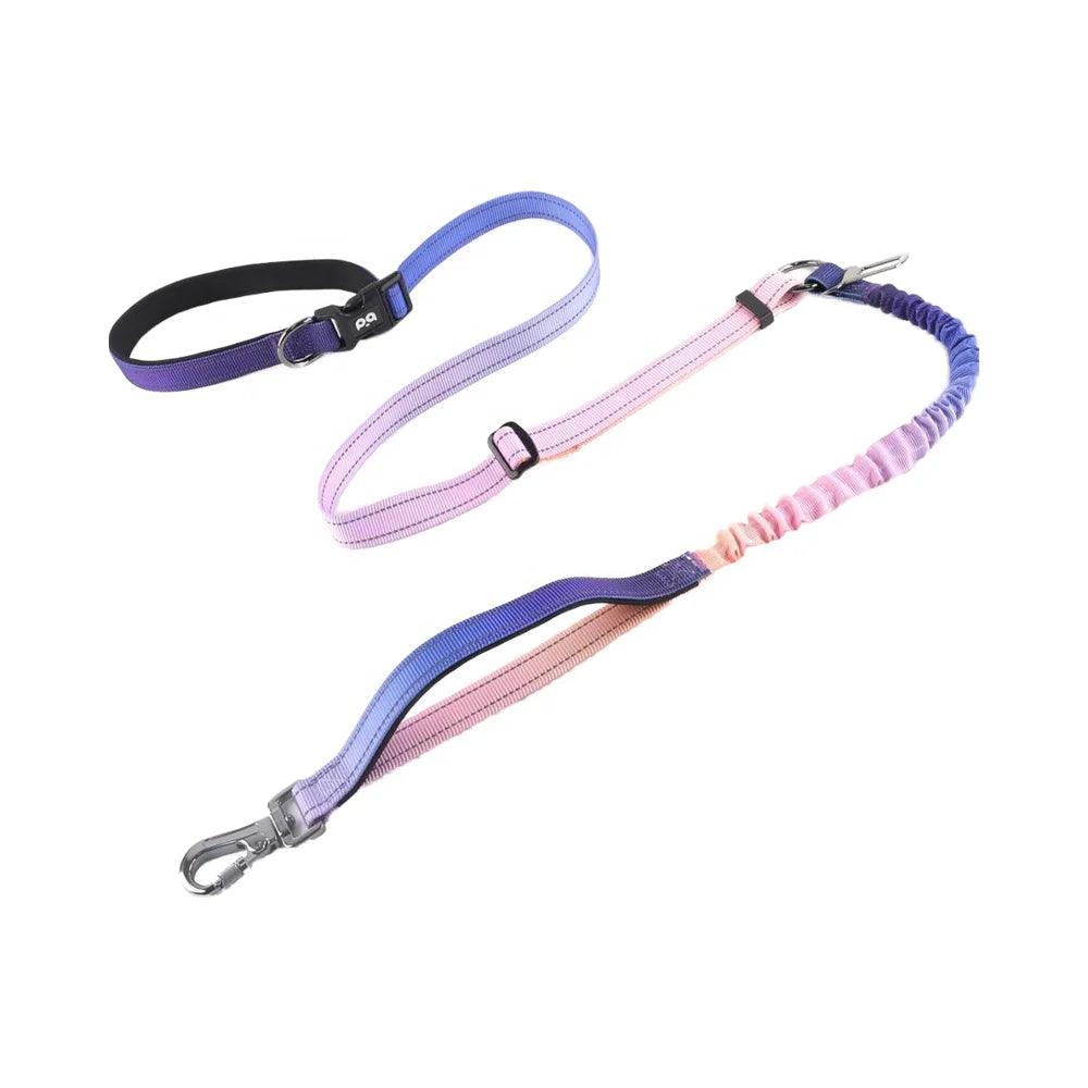 QQPETS Comfortable Nylon Dog Leash Adjustable Waist Hand-Free Crossbody Bungee for Medium Large Dogs for Walking Running Car