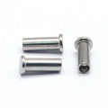 China Manufacturer's Custom Galvanized Carbon Steel Round Flat Head Hollow Semi-Tubular Rivets