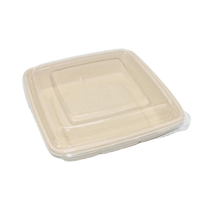 Eco-Friendly Disposable Sugarcane Rectangular Salad Container Recyclable Biodegradable Single Compartment Box Matt Lamination