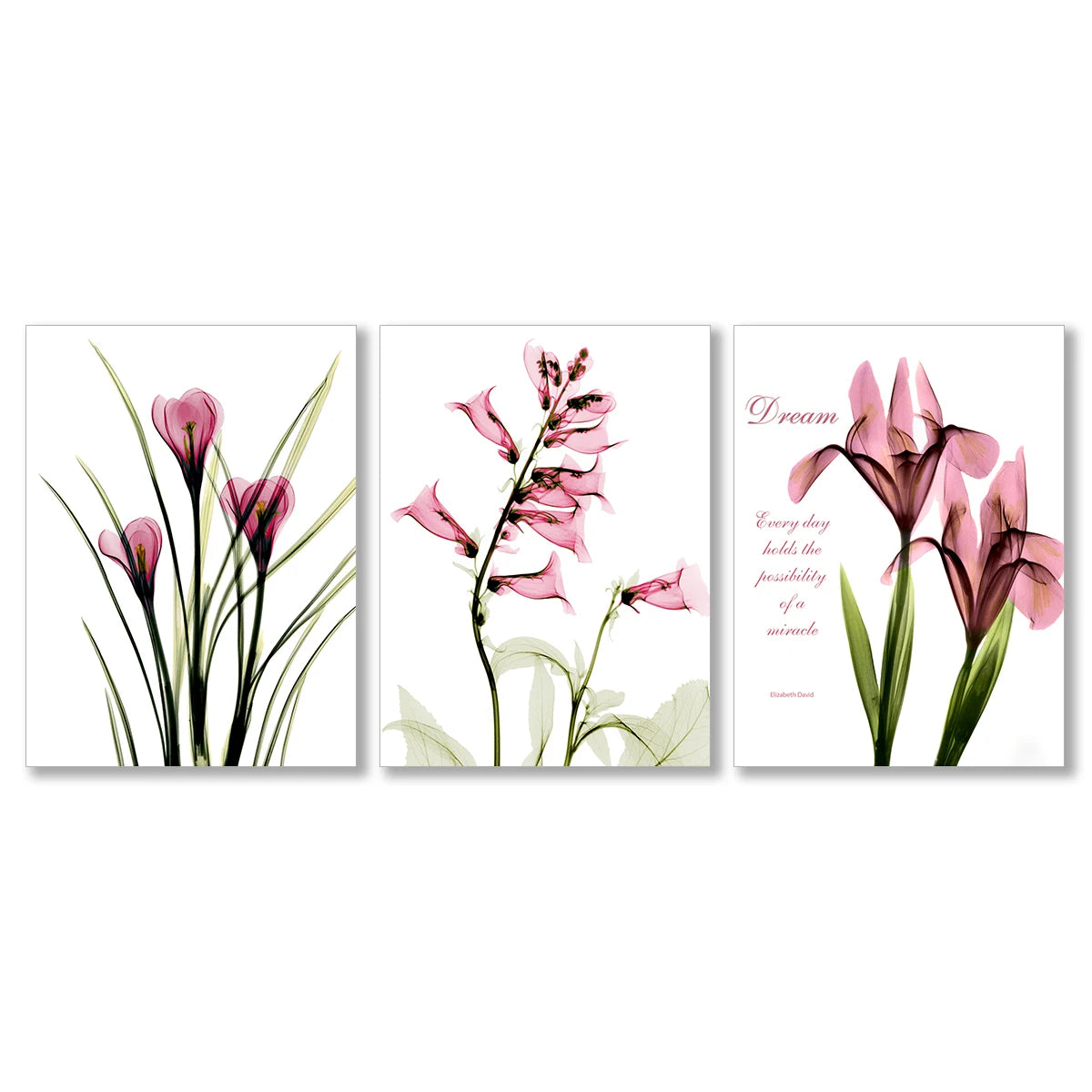 Nordic Minimalist Flower Poster Modern Print Home Wall Decor Canvas Painting Oil Painting on Canvas Posters and Prints Art
