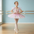 Professional Ballet Tutu Swan Lake Platter Tutu Romantic Ballerina Party Dance Costume Flower Girls Balett Dress Women