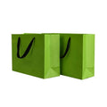 Recycled Materials Thickness 250gsm Hot Selling Product Customized Packaging Gift Bag With Handles