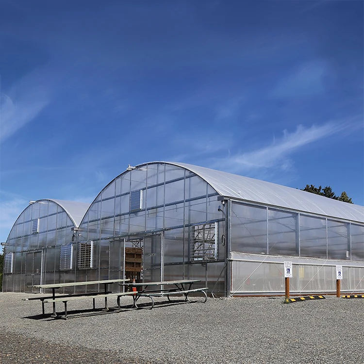 Cheap Large Commercial Multispan Agricultural Dome Green House PVC Film Cover Single Layer Tomato Greenhouse Kit Easily
