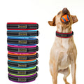 Glow Castle GC-J134 Pin Glow in Dark Reflective Nylon Dog Collar with Metal Buckle Customizable for Training-Wholesale