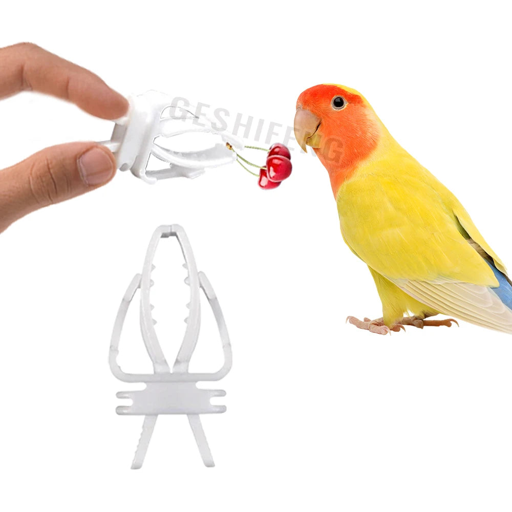 Vegetable Clip for Birds Bird Cage Feeder for Parrot Vegetable and Fruit Feeding
