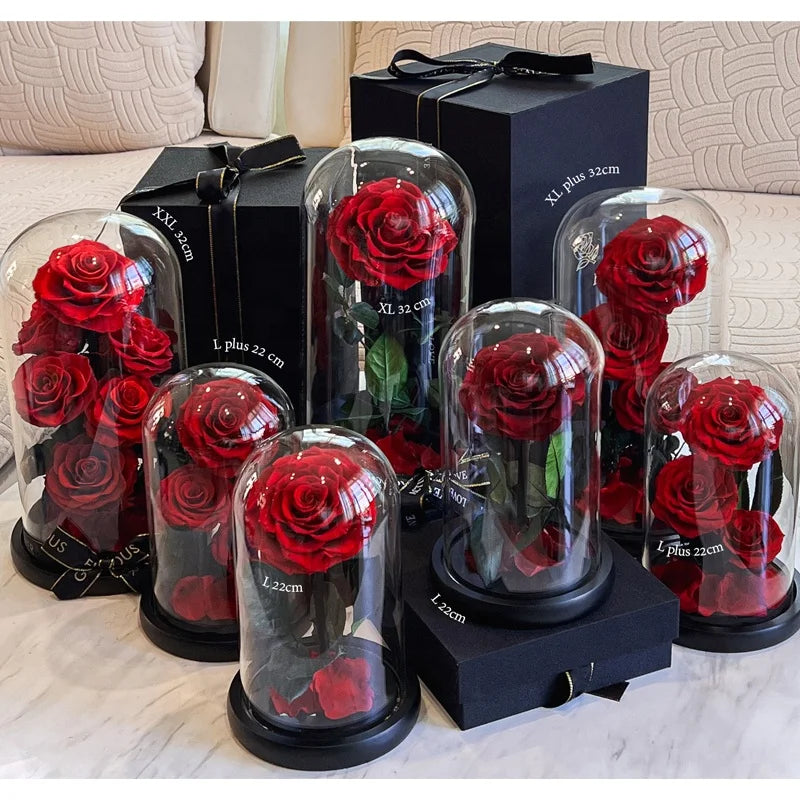 Mother's Day Gift Real Rose Flowers Forever Preserved Flowers Plants Eternal Roses in a Glass Dome Valentine's Day Gift
