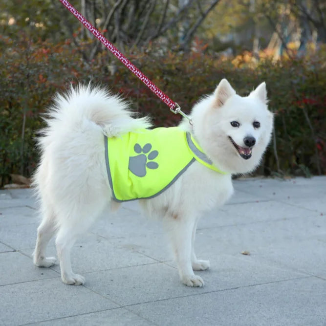All for Paws Reflective Dog Safety Jacket Pet High Visibility Vest Harnesses Print Padded Polyester Eco-friendly RIBBONS