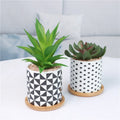 Wholesale PVC Artificial Flowers in Modern Ceramic Pots Green for Home Office Decoration