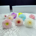 Factory Wholesale Colorful Dried Chrysanthemum Flowers Head  Preserved Daisy Flowers Home Decor