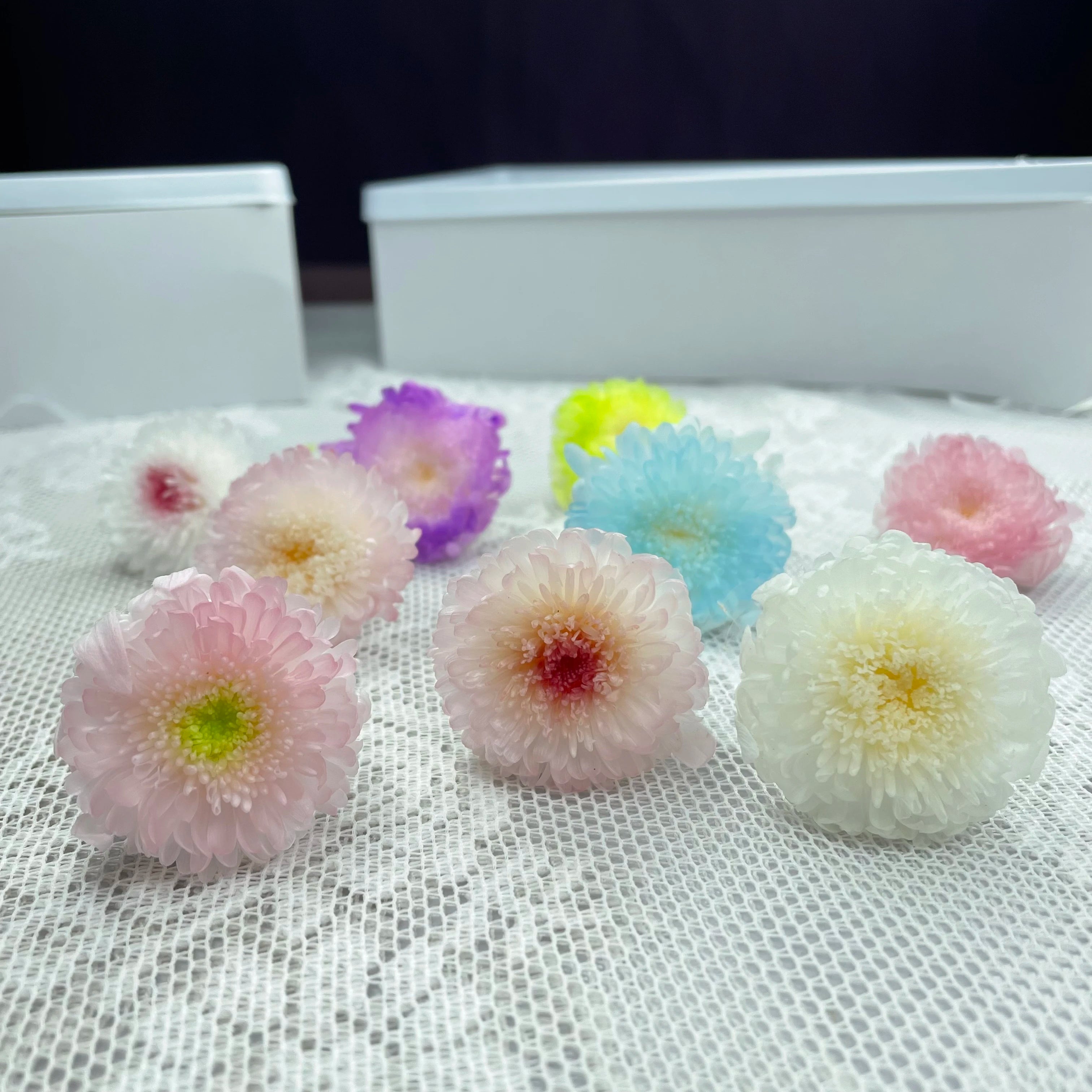 Factory Wholesale Colorful Dried Chrysanthemum Flowers Head  Preserved Daisy Flowers Home Decor