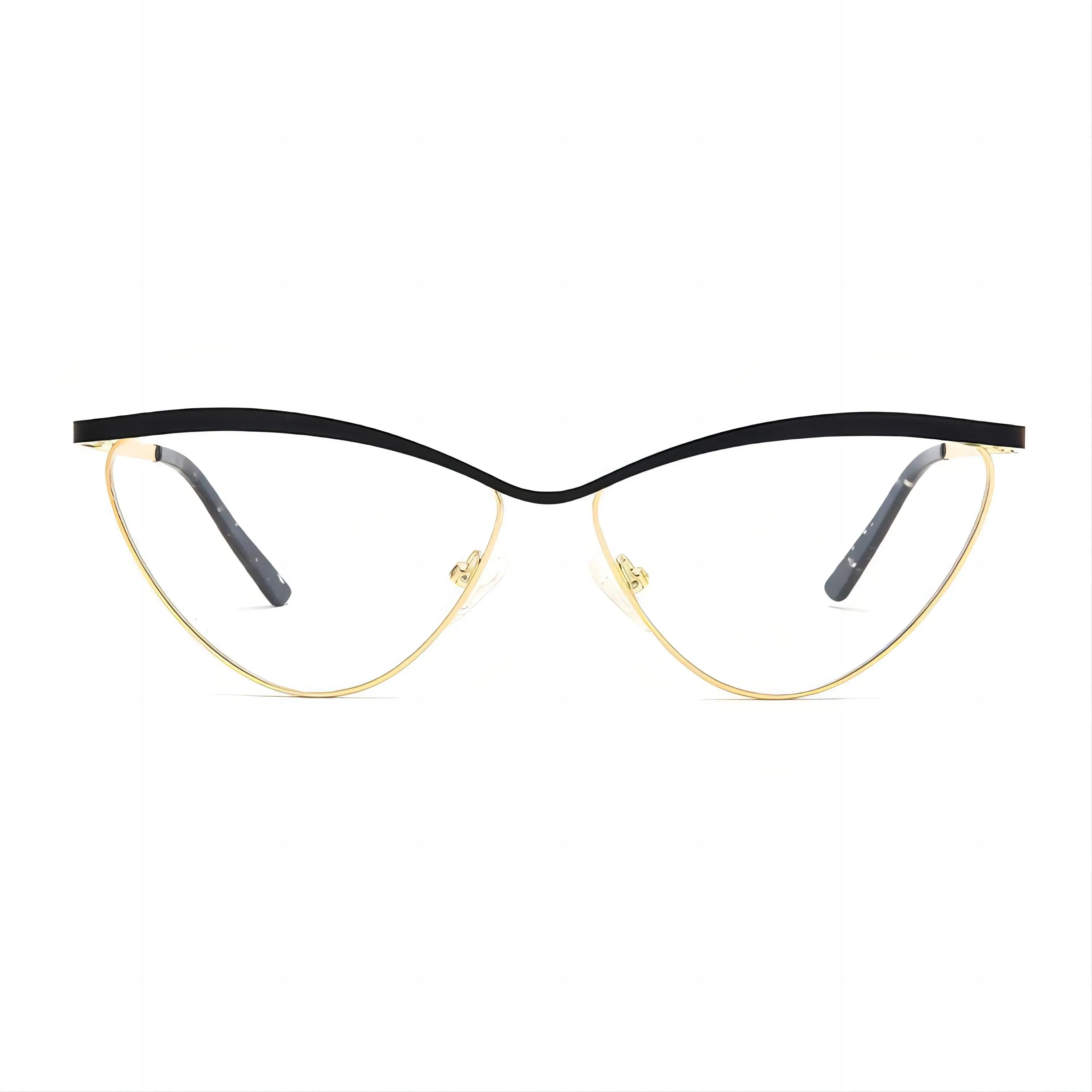 Customized Logo Hot Selling Irregular Optical Eyeglasses Metal Eyewear Metal Glasses Optic Frame