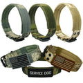 Wholesale Luxury Nylon Solid Pattern Adjustable Ribbon Decorated Multifunctional Tactical Outdoor Dog Training Collar