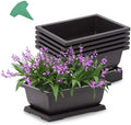 China Factory Wholesale Cheap Cheap Plastic Buy Flower Pot Bonsai Pots