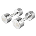 Hom Gym Round Head Dumbbells 1-10 KG Fitness Weight Lifting Chromed Stainless Steel Dumbbell Set