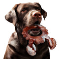 2024  New Pet Toys 4-Pack Indestructible Nylon Dog Chew Toys Customized Eco Friendly Dog Toys for Teeth Cleaning