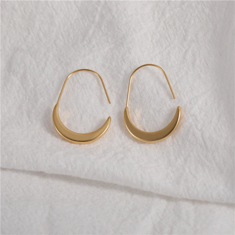 Fenny Tarnish Free Cute 20mm Oval Artstic Crescent Large Hoop Earring for Women Trendy Wholesale Stainless Steel Ladies Jewelry