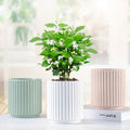 Popular Nordic Simple Vertical Strip Ceramic Floor Flower Pot Cylinder Porcelain Home Garden Outdoor Glazed