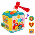 Montessori Toddler Learning Shape Sorter Kids Educational Toys Actuvity Cube for Kids Preschool
