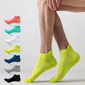 Bulk Wholesale Cheap Plain Low Cut Standard Terry High Quality Sports Unisex Adults Athletic Custom Ankle Running Socks Autumn