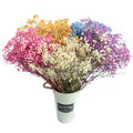 Diy Home Decoration 100g Multicolor Real Babysbreath Flowers Bundle Dried Gypsophila