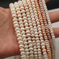 Hot Sales 5-9mm Oblate Natural Freshwater Pearl for Women Necklace Jewelry Making