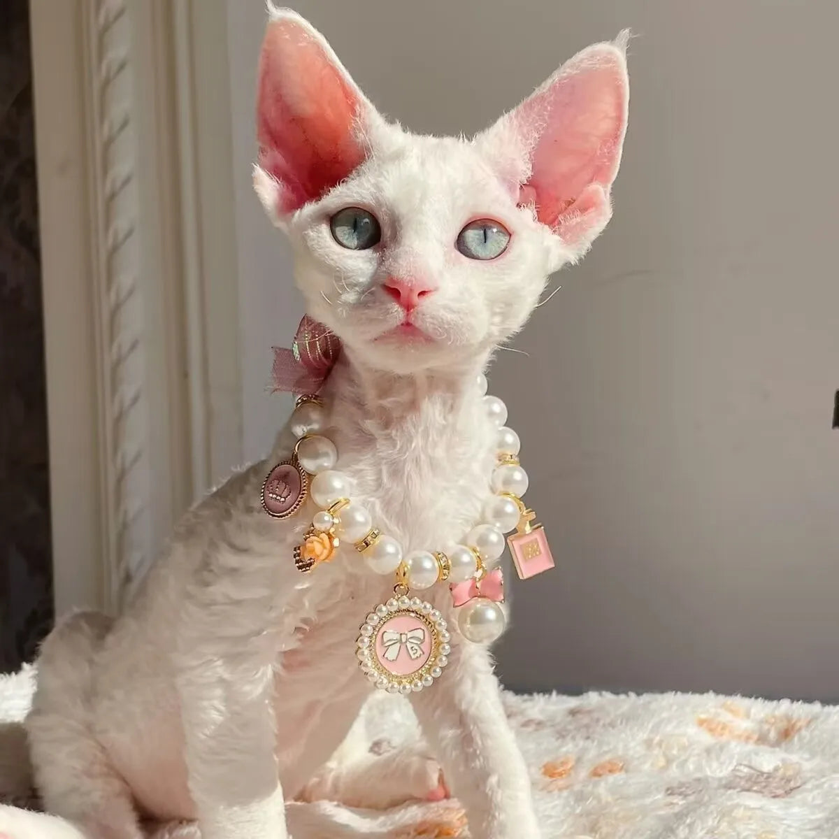 Wholesale New Hot Fashion quality cat Dog Pearl Adjustable Pet Collar Jewelry Necklaces Accessories for cats Puppy Gift