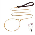 Eco-Friendly Stainless Steel Dog Collar & Leash Chain for Stimulation Training Walking