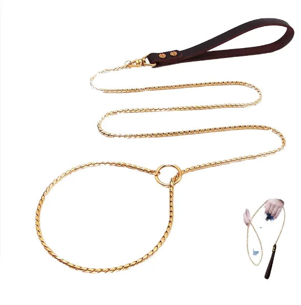 Eco-Friendly Stainless Steel Dog Collar & Leash Chain for Stimulation Training Walking