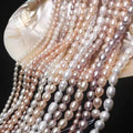 Hot Selling Natural Freshwater Cultured Rice Shaped Loose Pearls for Jewelry Making Beads Hot Selling Beads for Loose Pearls